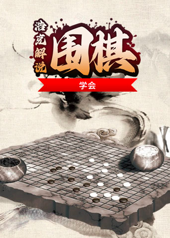 浩克解说围棋 学会