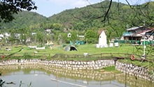 大沙里宝藏村落