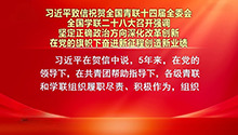 习近平：坚定正确政治方向深化改革创新 在党的旗帜下奋进新征程创造新业绩