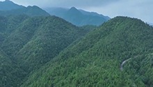郴州临武探获一处4.9亿吨超大型锂矿宝藏