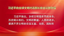 习近平向全球文明对话部长级会议致贺信