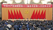 中国共产党湖南省第十二届委员会第八次全体会议决议