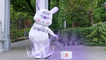 第4期：一日校园兔